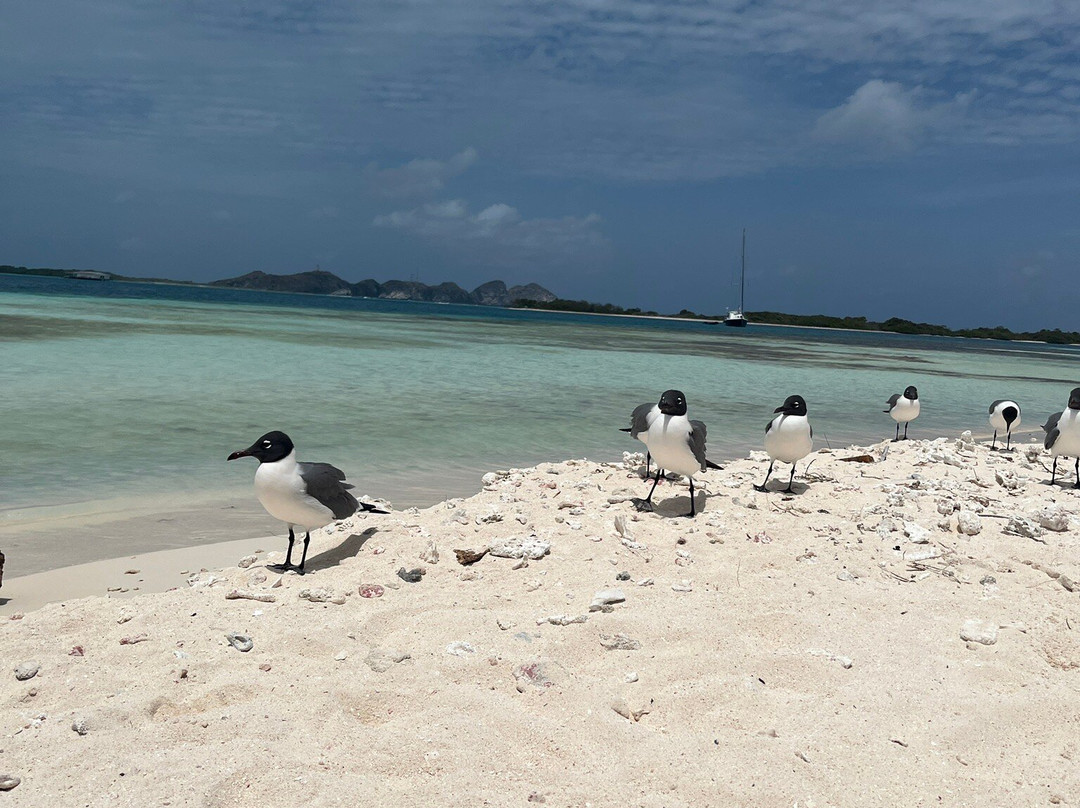 Posada Gremary主图