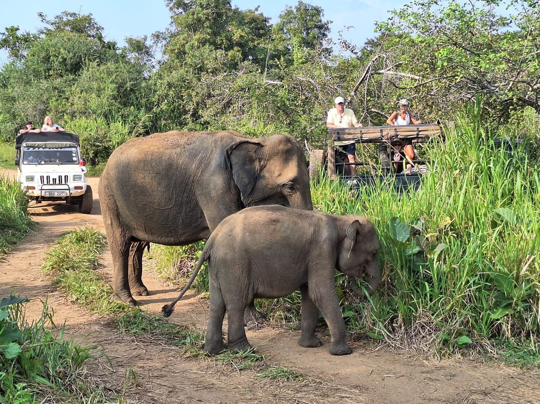 Rent A Tour Guide In Sri Lanka景点图片