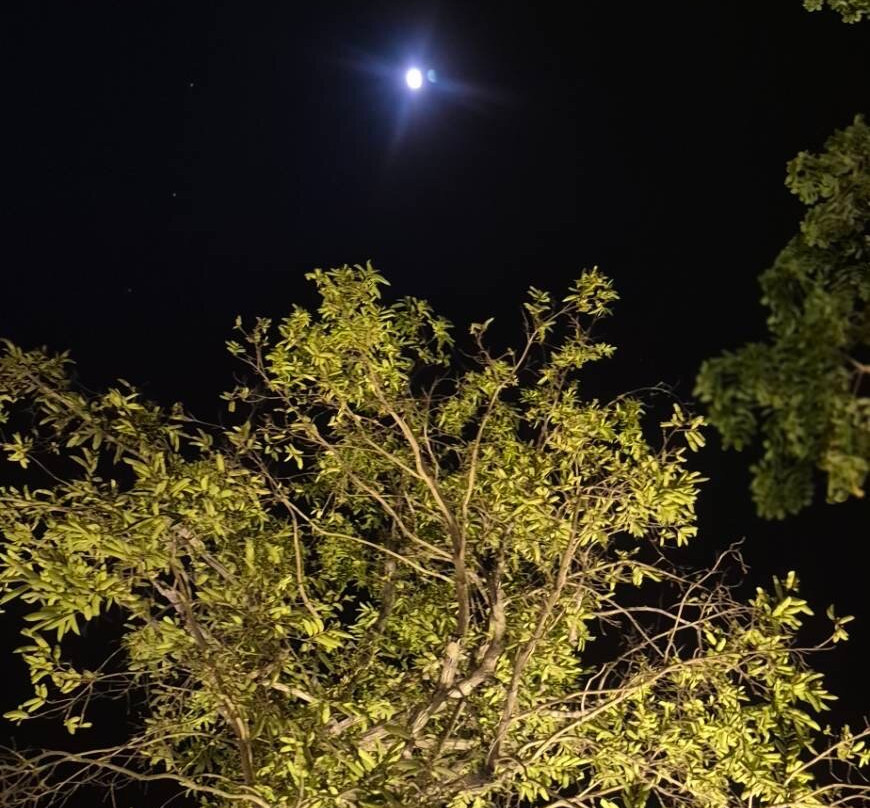 Khum Damnoen Resort主图