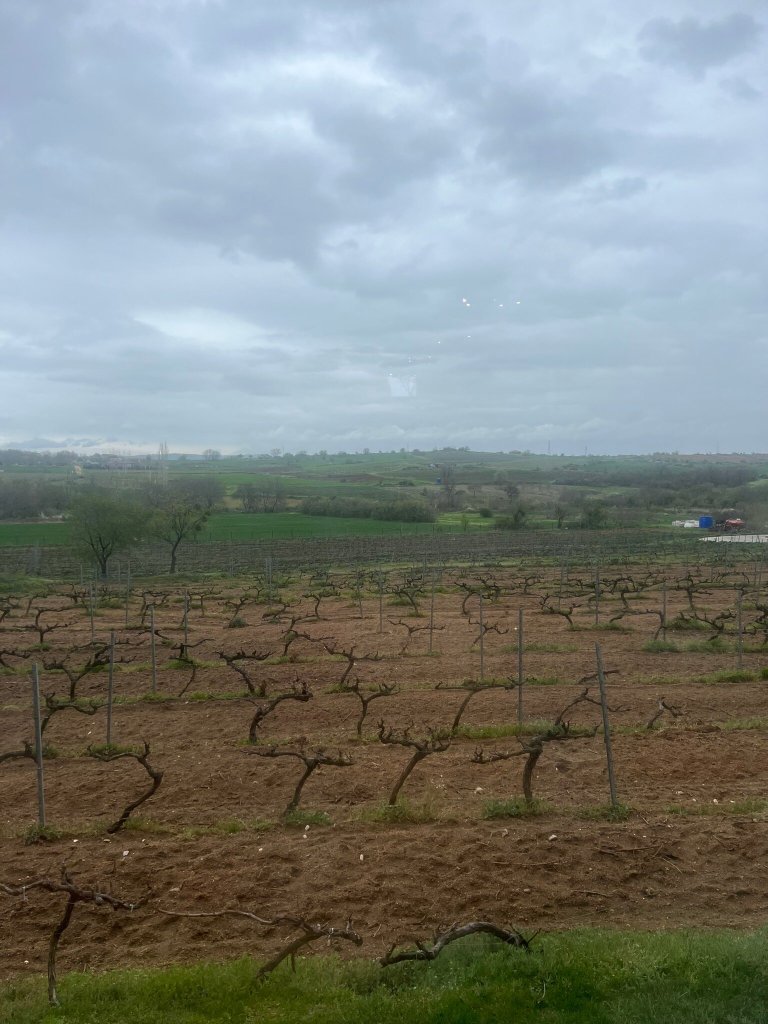 Dessera Bağ Evi-官方