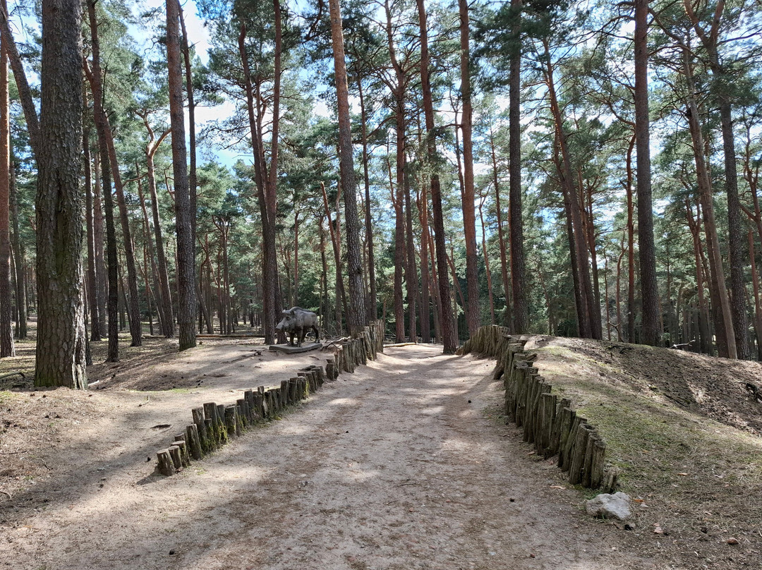 Wildpark Johannismühle-Baruth必去景点
