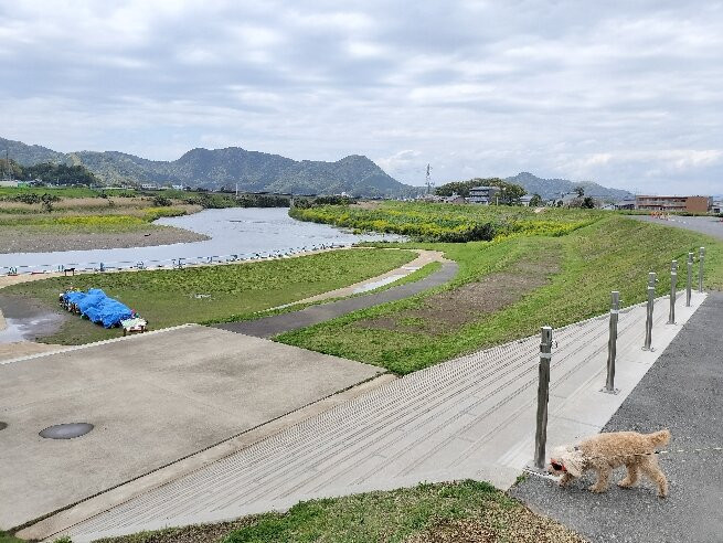Kawa no Eki Izu Gateway Kamnami