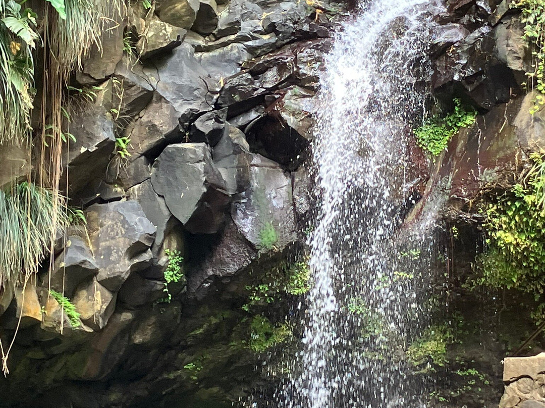 Annandale Falls景点图片
