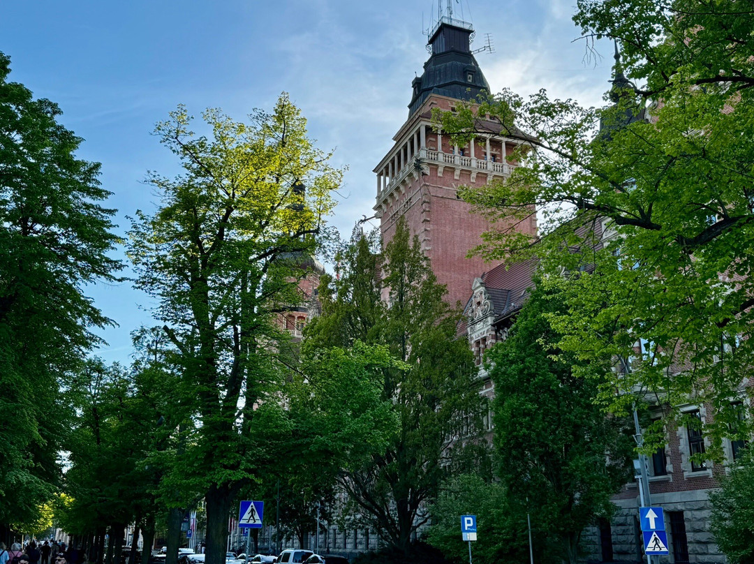 Waly Chrobrego Promenade (Hakenterrasse)景点图片