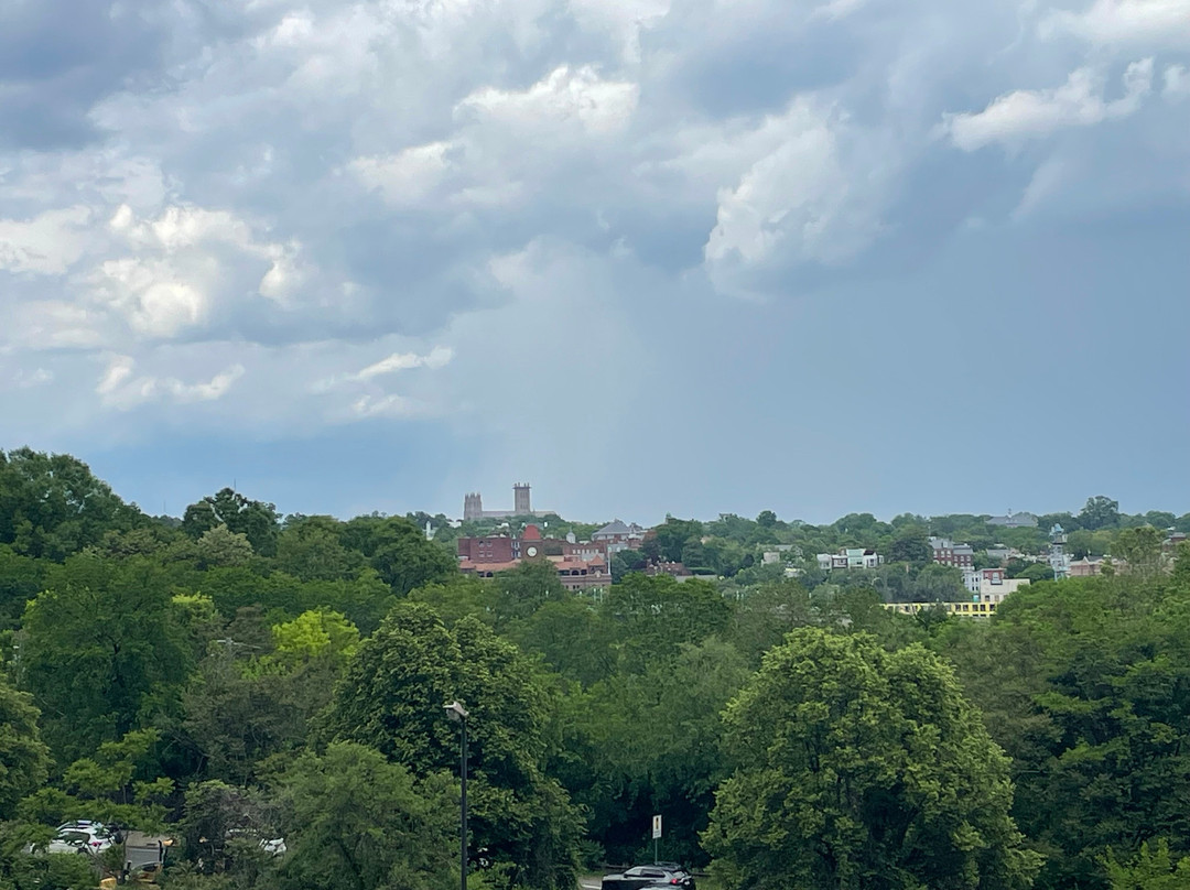阿灵顿艾美酒店主图