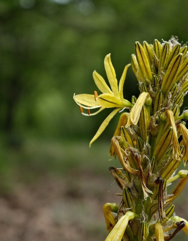 Beglik-Tash-普里莫斯科必去景点