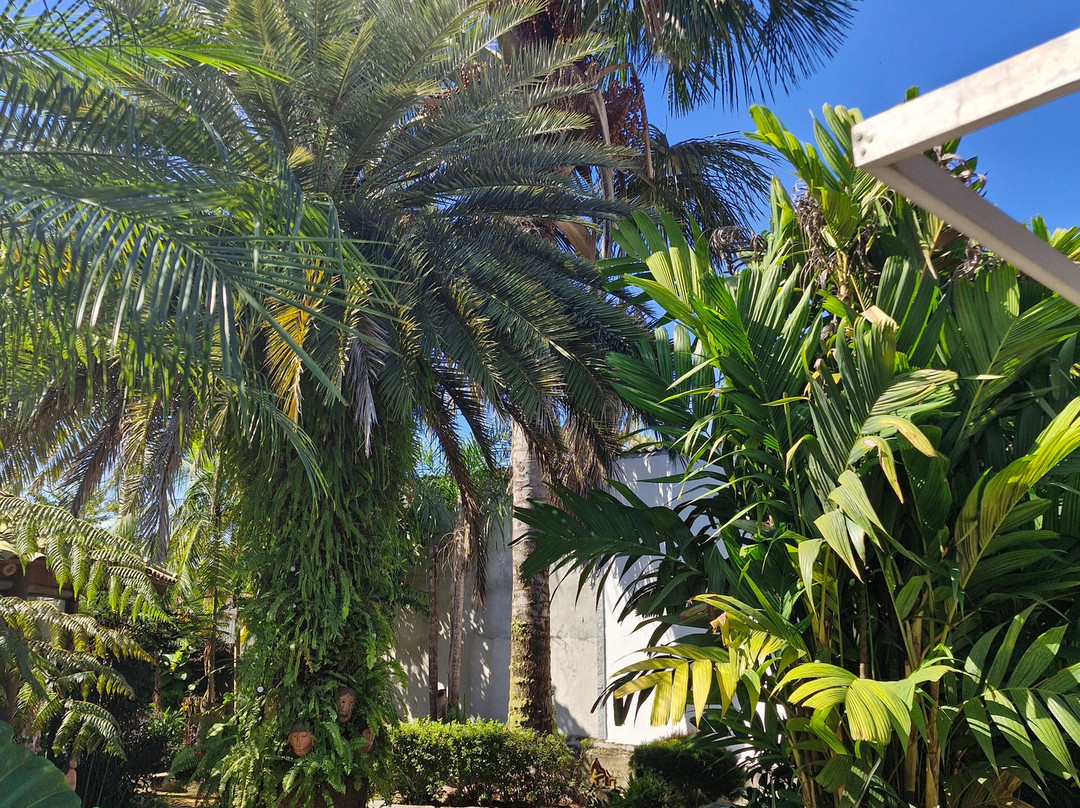 Espaço Hartãt - Acervo Indígena-Caraguatatuba必去景点