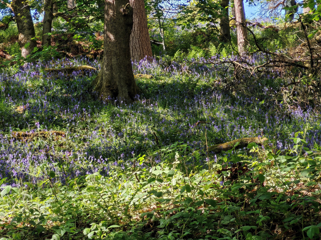 Hardcastle Crags-Hebden Bridge必去景点