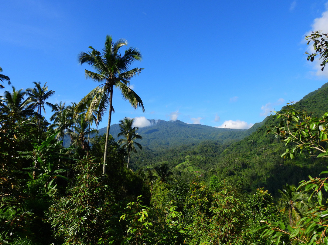 Sekumpul Accommodation主图