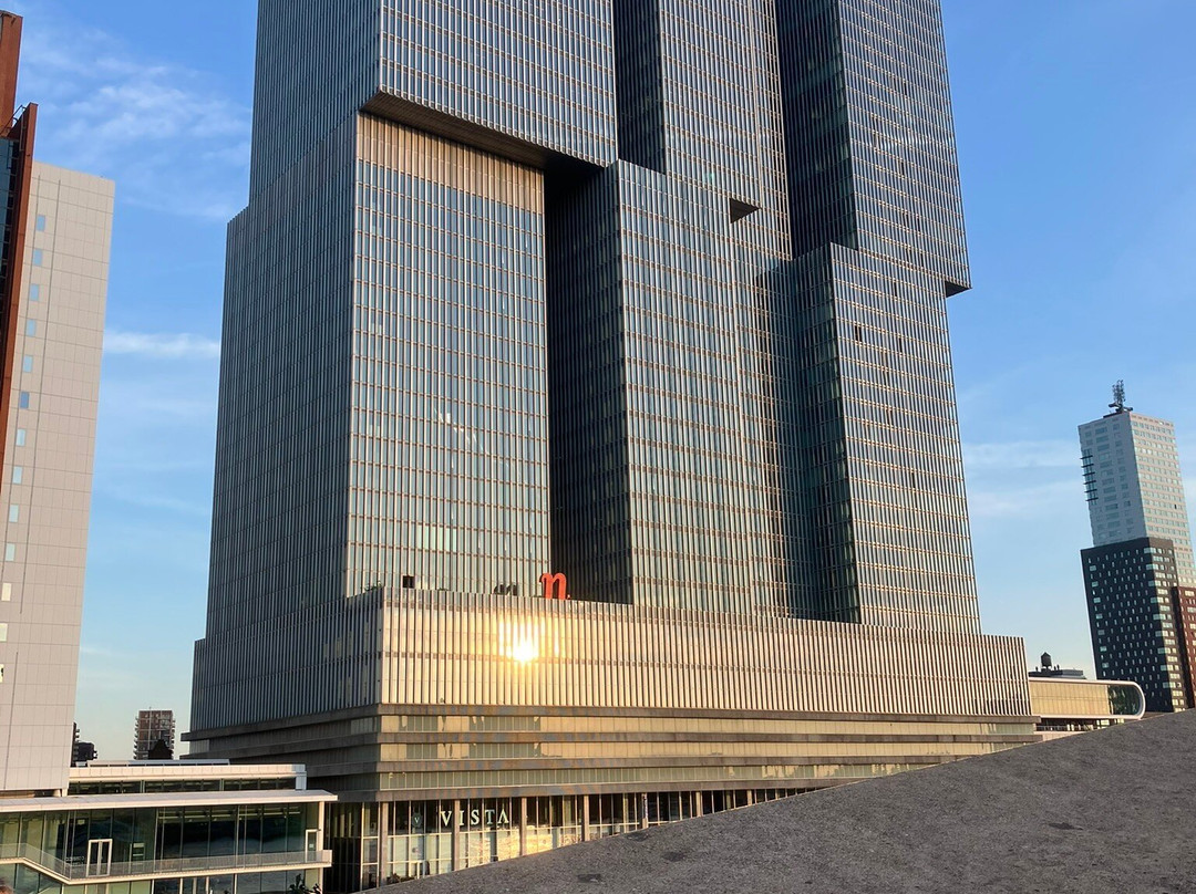 City Hall Rotterdam-鹿特丹必去景点
