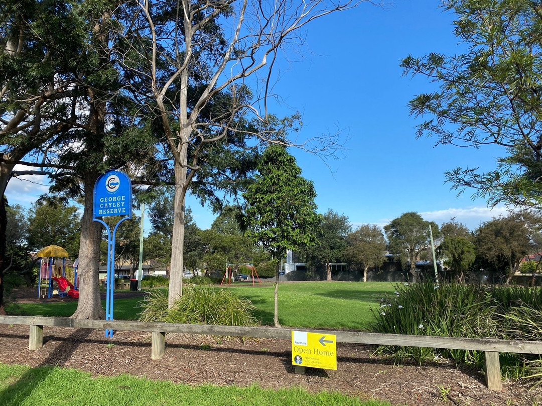 George Cayley Reserve