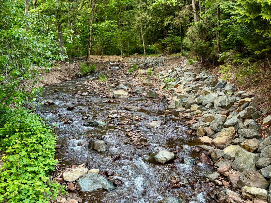 The Rockwell Harrison Guest Lodge B&B主图