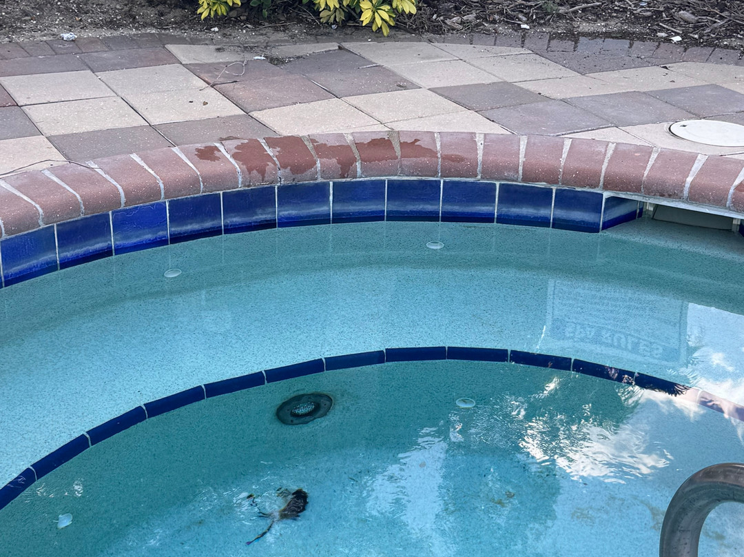 Aviana Resort Orlando主图