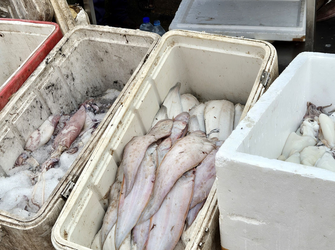 Port de Pêche-诺克少必去景点