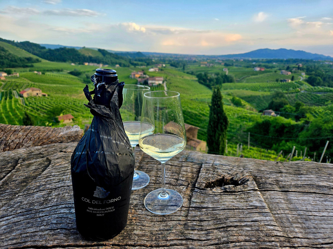 Agriturismo Due Carpini主图