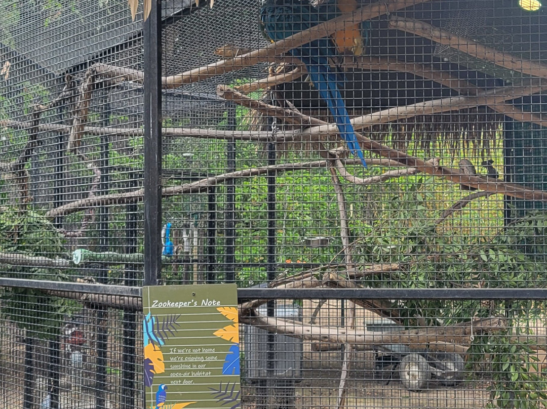 Santa Ana Zoo at Prentice Park-圣安娜必去景点