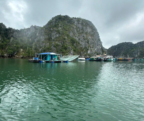 Blue Swimmer Cruises-Cat Ba Town必去景点