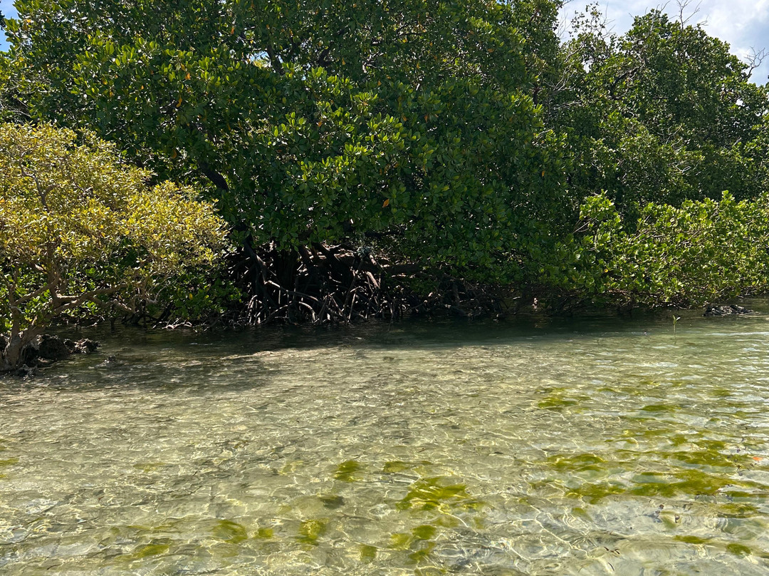 Travel Plus Zanzibar Tours & Safari-石头城必去景点
