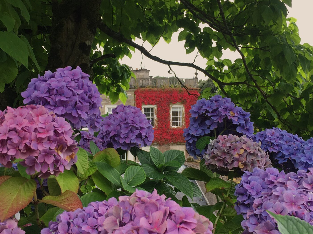 Cappoquin House Gardens-Cappoquin必去景点