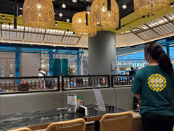 Gallery 1