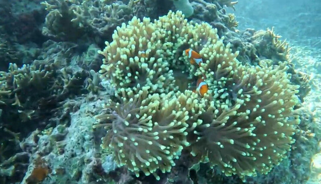 West Bali Discovery-佩母德兰必去景点