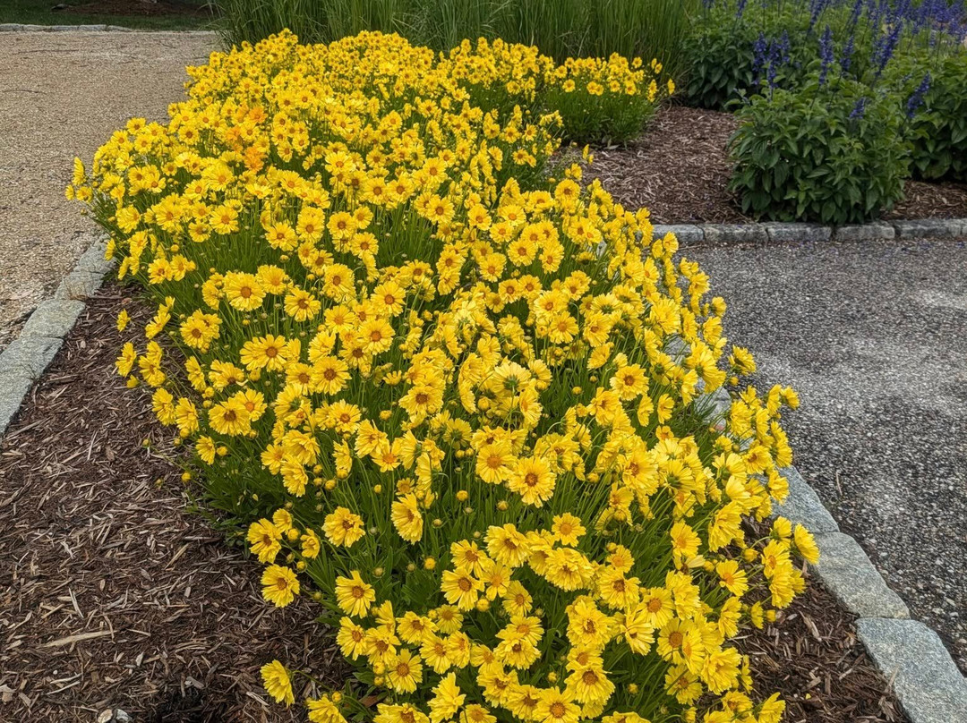 The Inn at Herrington Harbour主图