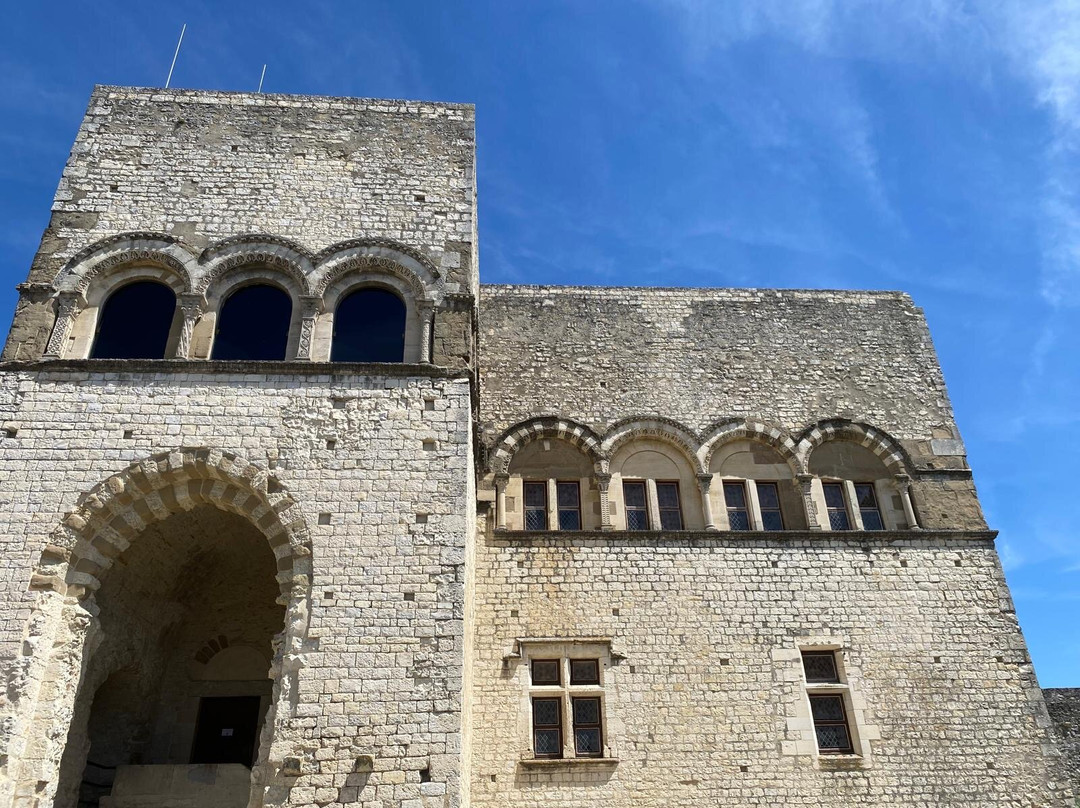 Château de Montélimar景点图片