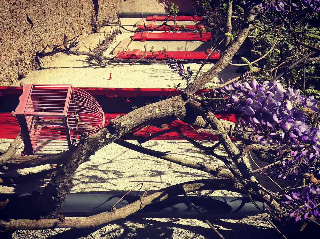 Tigy旅游攻略图片