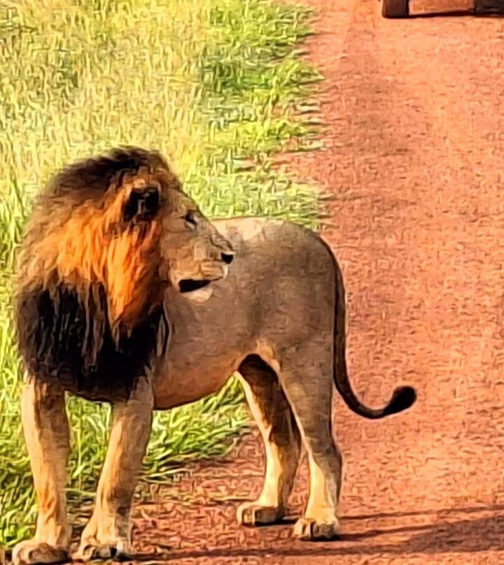 FISTON TOURS-吉佳利必去景点