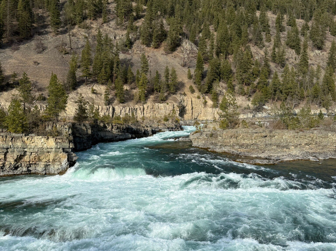 Evergreen Motel主图