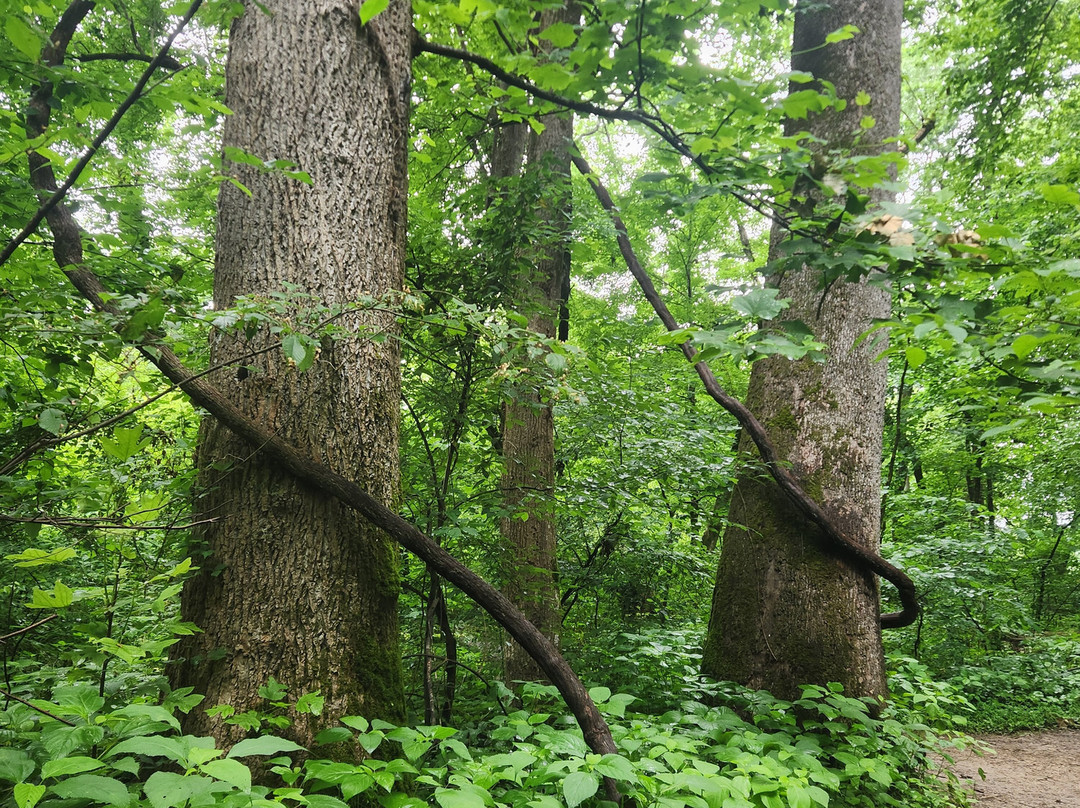 Ijams Nature Center-诺克斯维尔必去景点