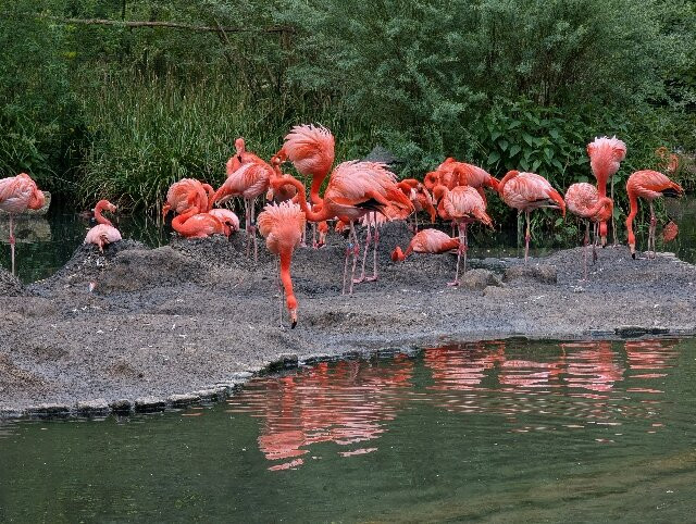 Tierpark Cottbus-Cottbus必去景点
