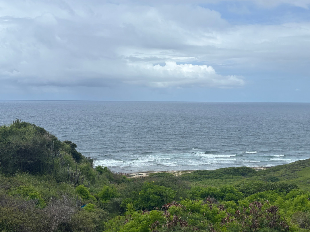 Point Udall-圣克鲁斯必去景点