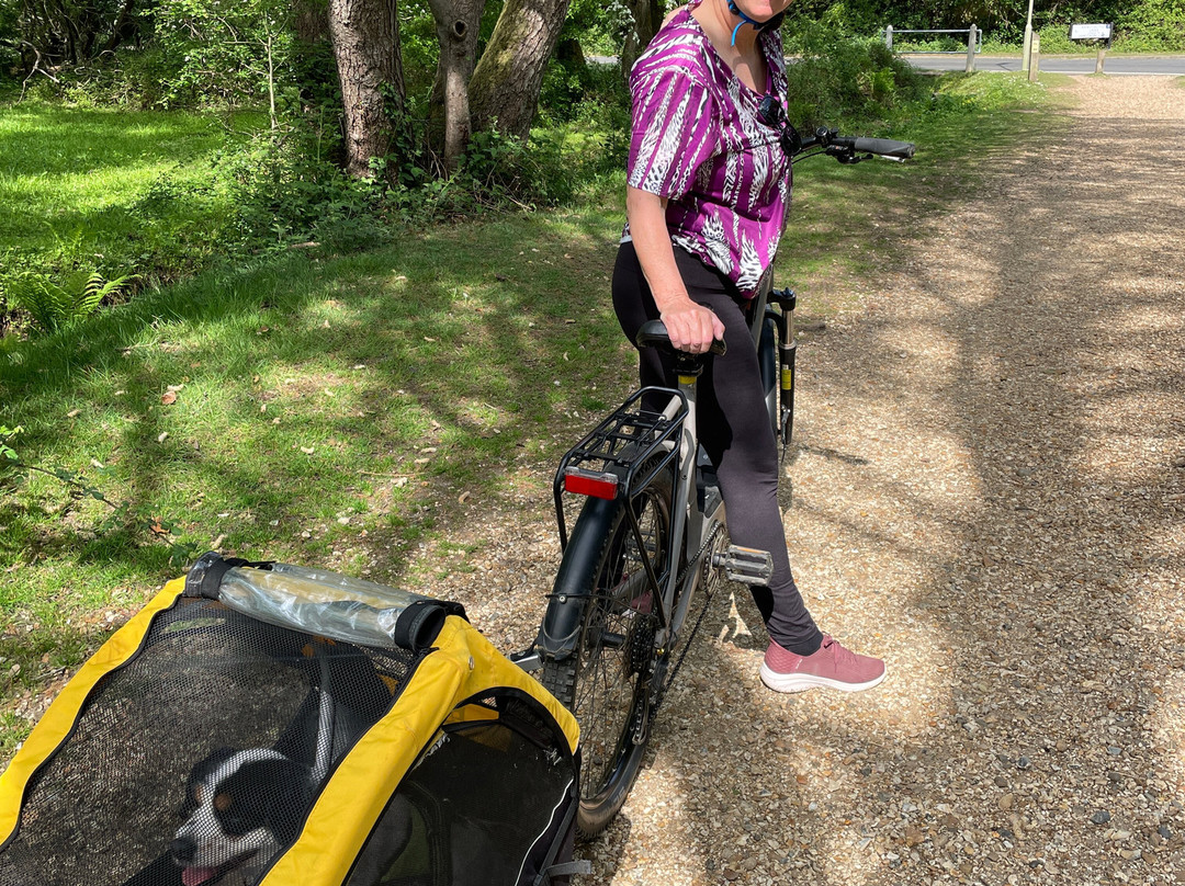 Cyclexperience (new Forest)景点图片