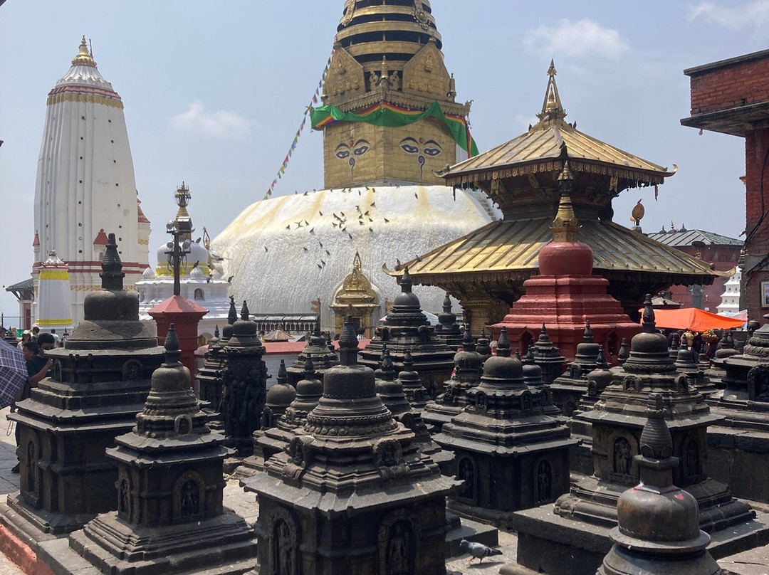 Basanta Adventure Treks & Expeditions-拉萨市必去景点