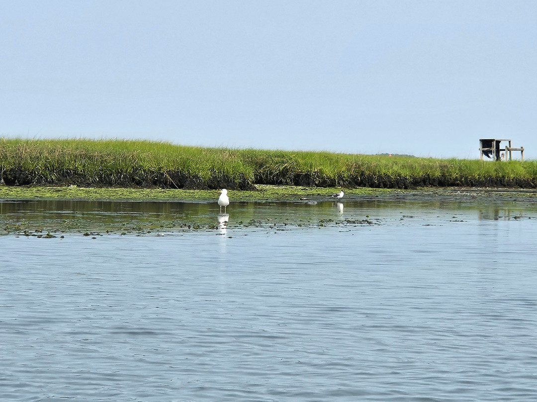 Ecobay Kayak Adventures-Ocean View必去景点