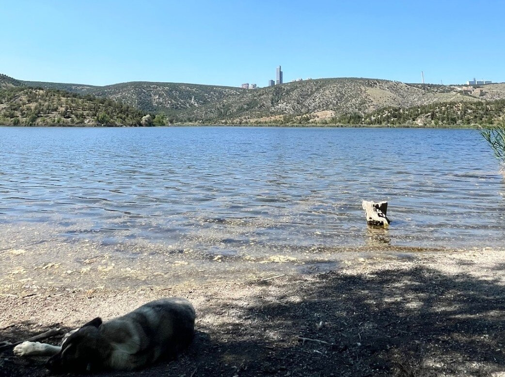 Eymir Lake-安卡拉必去景点