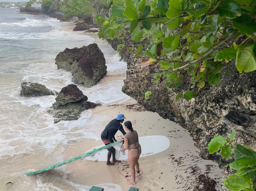 Freights bay surf school-Enterprise必去景点