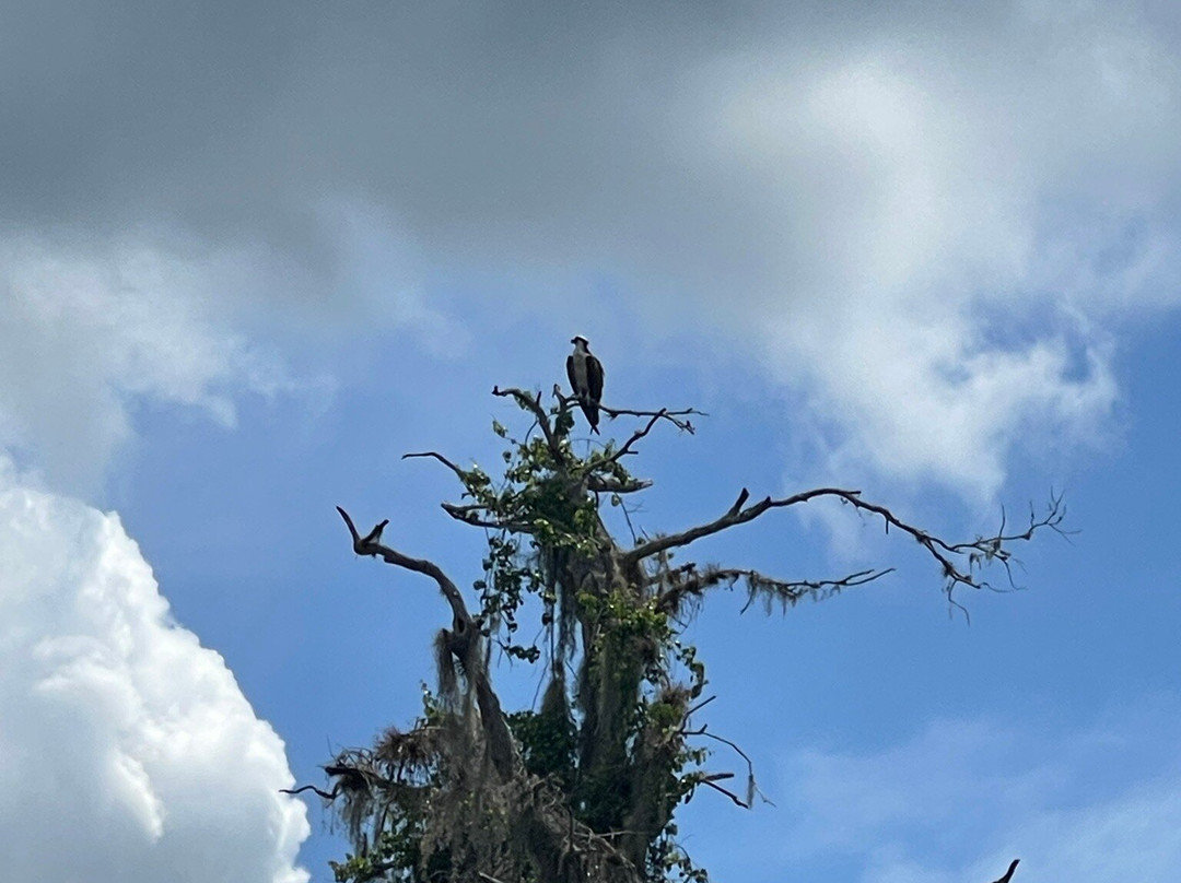 Peace River Charters-阿卡迪亚必去景点