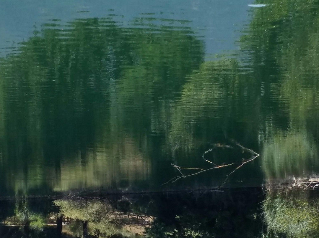 Lago di Telese-Telese Terme必去景点