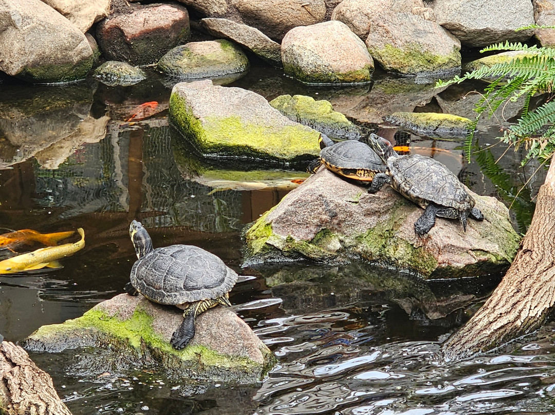 Baymont by Wyndham Sioux Falls主图