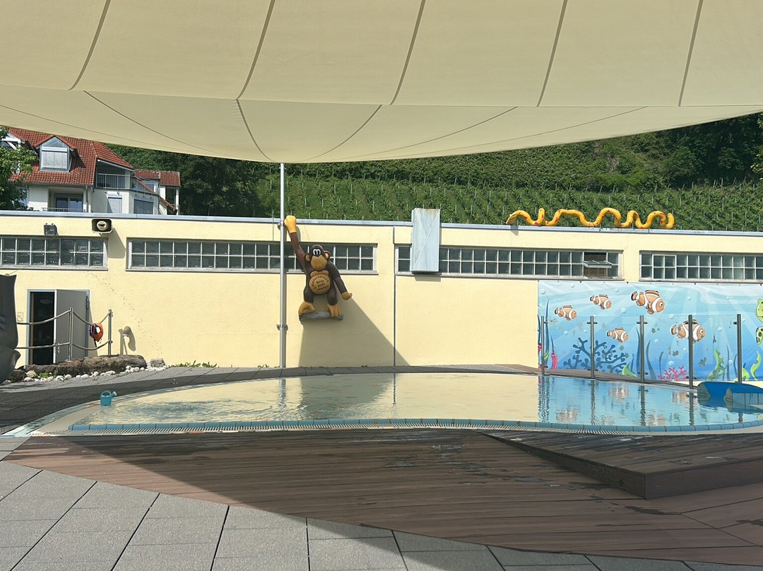 Strandbad Meersburg-梅尔斯堡（博登湖）必去景点