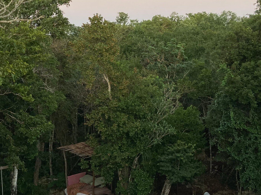 Posada Del Agua y Fuego主图