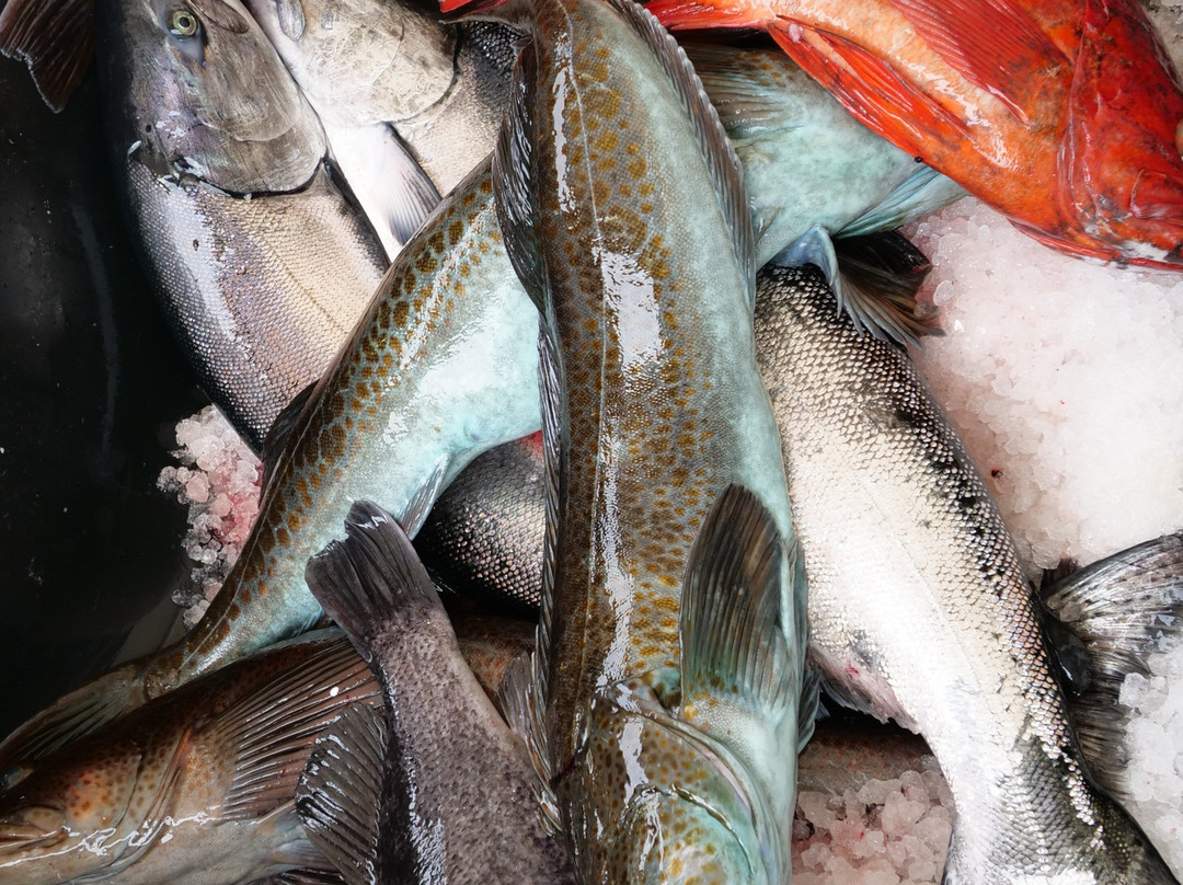 Reel Obsession Fishing Lodge Vancouver Island景点图片