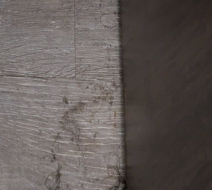 Best Western Crossroads Inn主图