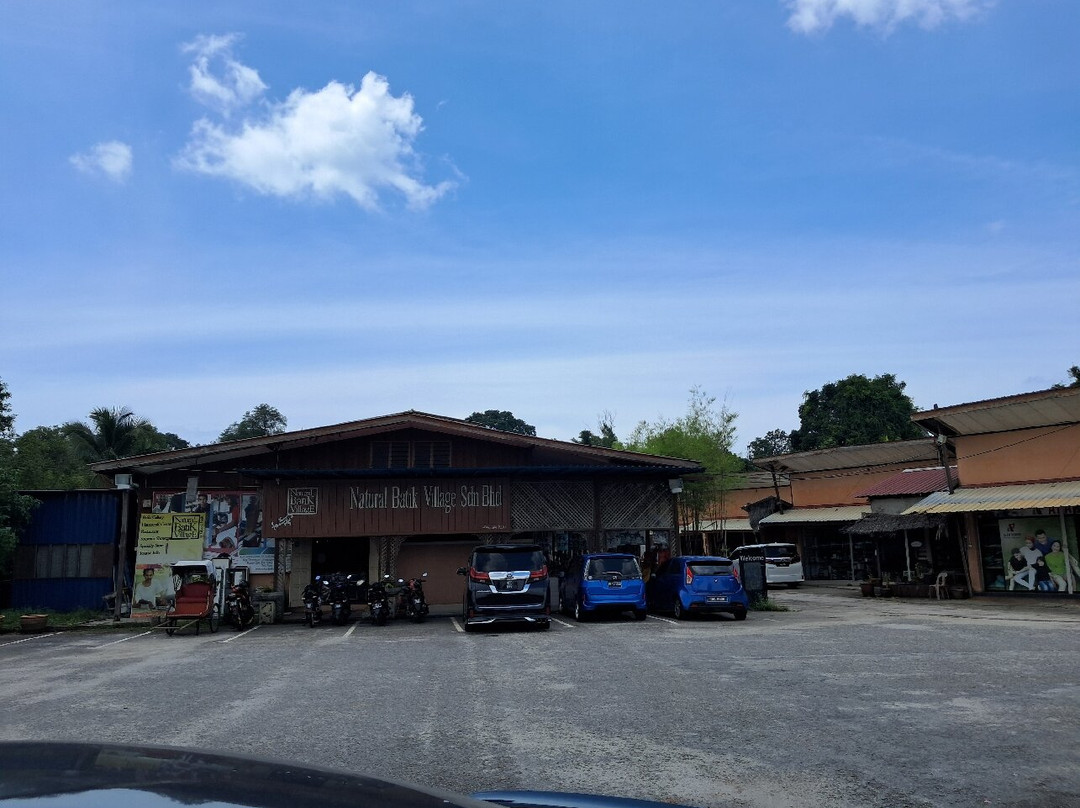 Natural Batik Village-关丹必去景点