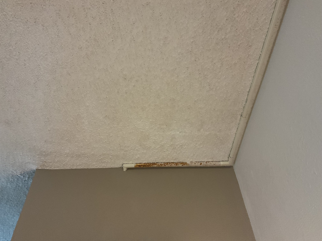 Hyatt Place Fort Lauderdale / Plantation主图