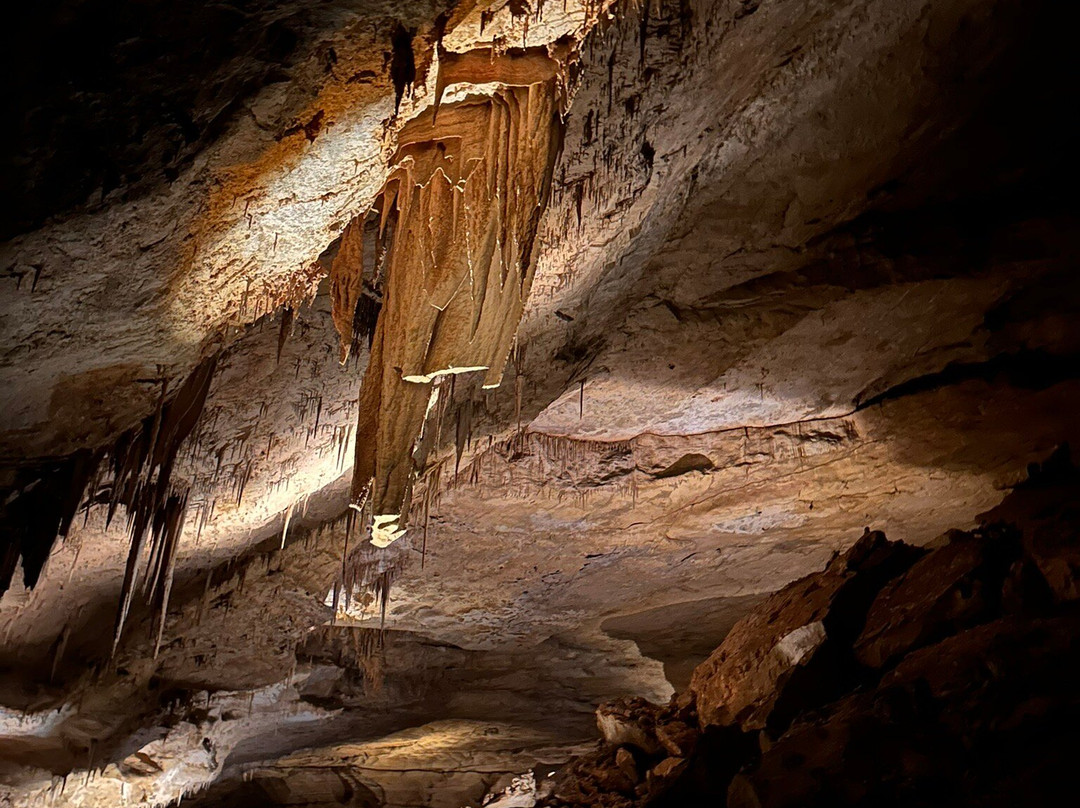 Carlsbad Caverns National Park Visitor Center-卡尔斯巴德洞穴国家公园必去景点