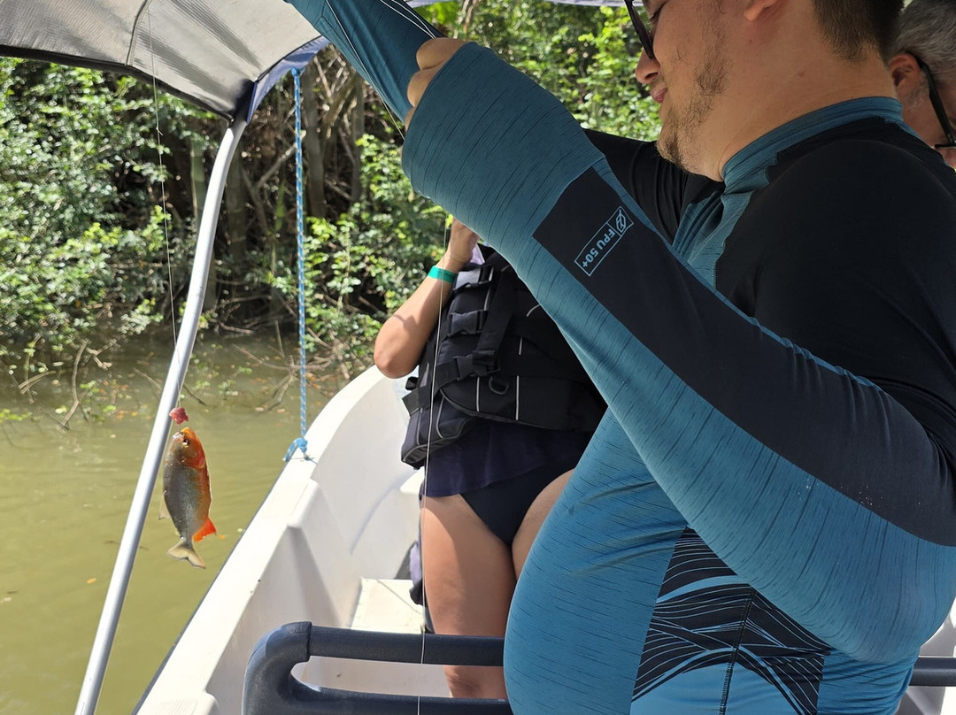 JIC - TUR-杰里科科拉必去景点