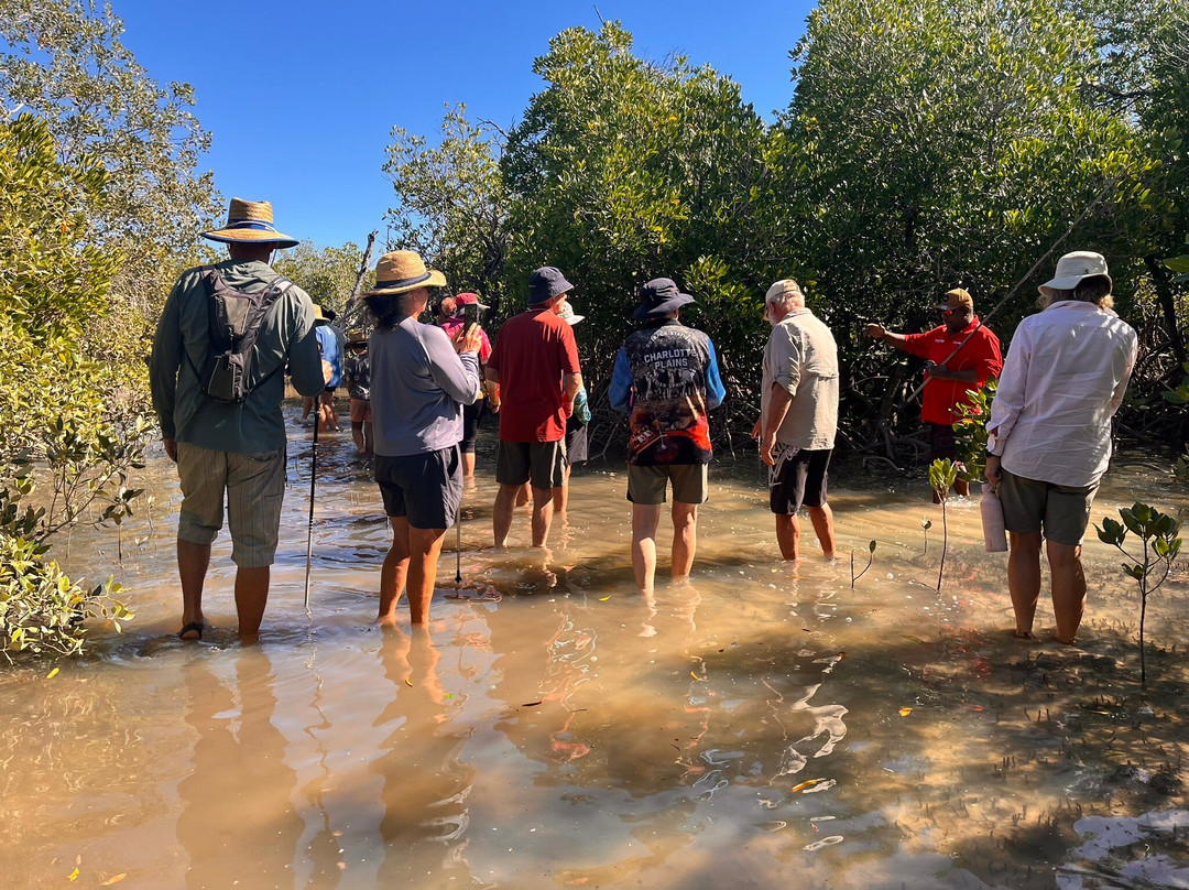 Southern Cross Cultural Tours at Lullumb